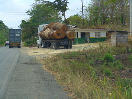 logging truck, road from Darien