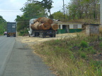 logging truck, road from Darien