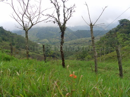 Pamama highlands