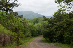 road to Cacao